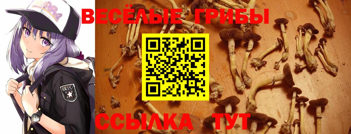 НБОМе  Марихуана  Вход с VPN  Alpha-PVP СОЛЬ   Юрга  COCAIN  Меф МЯУ МЯУ  