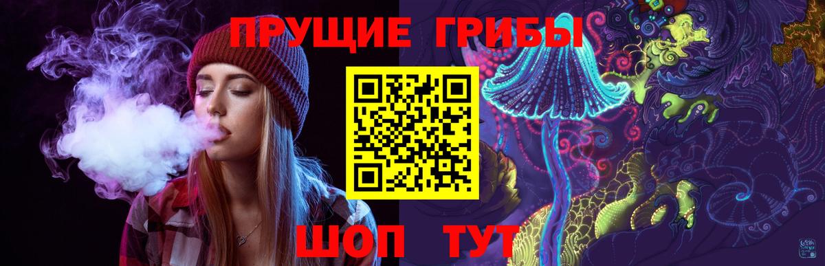 Юрга  Галлюциногенные грибы Magic Shrooms  Вход с VPN 